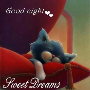 Meet your Posher, Susie